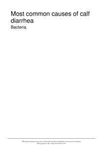 Bacteria - Calf Scours Treatment