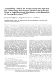 A Trafficking Pathway for Anthocyanins Overlaps