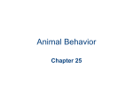 Chapter 25 Animal Behavior