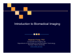 Introduction to Biomedical Imaging