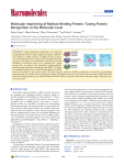 Molecular Imprinting of Maltose Binding Protein