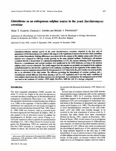 Glutathione as an endogenous sulphur source in the