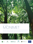 Link - monimet