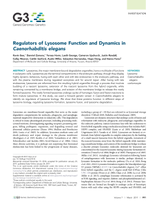 Regulators of Lysosome Function and Dynamics in Caenorhabditis