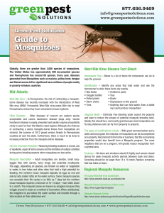 Guide to Mosquitoes - Green Pest Solutions