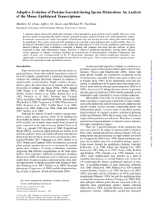 Adaptive Evolution of Proteins Secreted during Sperm Maturation