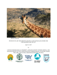 Barbara Hollweg PETITION TO LIST THE GIRAFFE (GIRAFFA