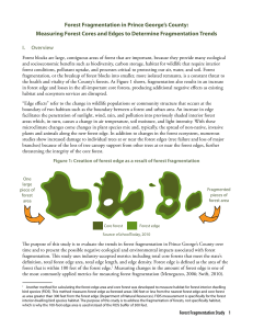 Forest Fragmentation Study