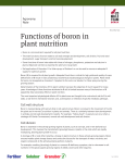 Functions of boron in plant nutrition
