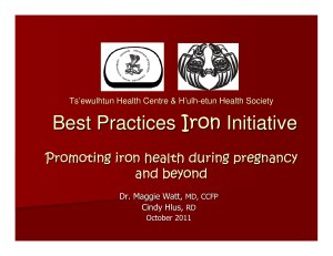 Best Practices Iron Initiative