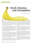 Brazil, Bananas, and Assumptions