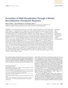 Prevention of DNA Rereplication Through a Meiotic Recombination