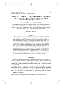 137 efficiency of energy conversion during sinusoidal movement of