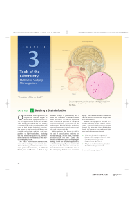 Tools of the Laboratory: Methods for Studying Microorganisms