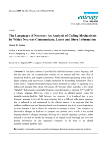 The Languages of Neurons: An Analysis of Coding Mechanisms by