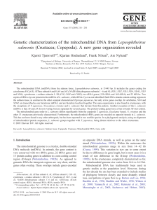 Genetic characterization of the mitochondrial DNA - (BORA)