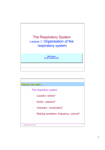 1 Organisation of resp syst