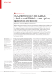 RNA interference in the nucleus: roles for small RNAs in