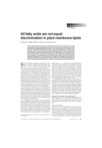 All fatty acids are not equal: discrimination in plant membrane lipids