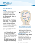 Meningioma tumor - Mayfield Clinic