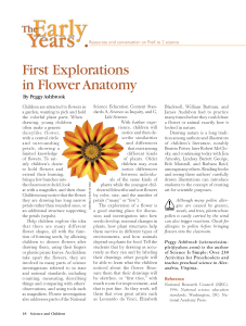 First Explorations in Flower Anatomy