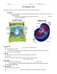 Cell Organelle Notes