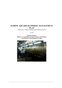 Marine Aquarium Fishery Management Plan