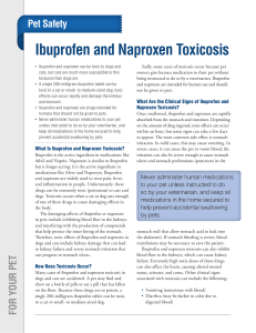 Ibuprofen and Naproxen Toxicosis