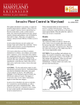 Invasive Plant Control in Maryland