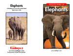 Elephants - SPS186.org