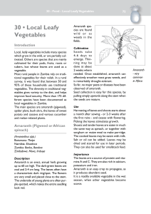 30 • Local Leafy Vegetables - The Gaia