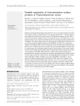 Variable expression of immunoreactive surface proteins of