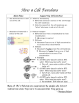 How a Cell Functions