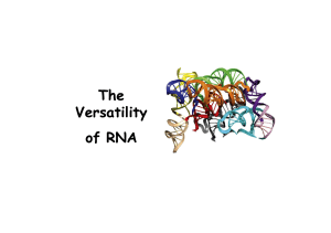 The Versatility of RNA