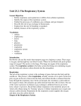 Unit 23.2: The Respiratory System