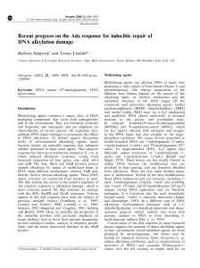 Recent progress on the Ada response for inducible repair of DNA