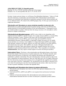 AMACHER LECTURE 13: Organelle genetics Reading: Ch. 16, p