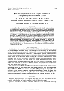 Iduence of Dilution Rate on Enzyme Synthesis in