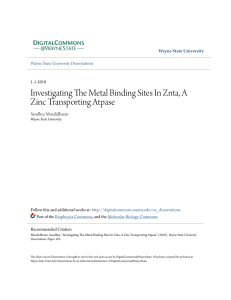 Investigating The Metal Binding Sites In Znta, A Zinc Transporting