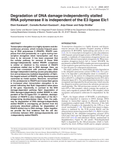 Degradation of DNA damage-independently stalled RNA