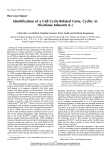 Identification of a Cell Cycle-Related Cene, Cyclin, in Nicotiana