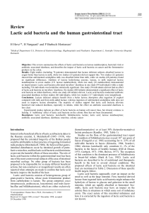 Review Lactic acid bacteria and the human gastrointestinal