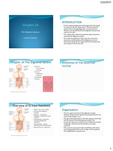 Chapter 3 - HCC Learning Web