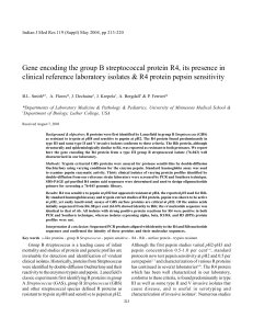 Gene encoding the group B streptococcal protein R4, its