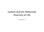 Chapter 4 Carbon