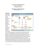 Working with Data The Meselson–Stahl Experiment