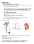 Homeostasis Unit Review Homeostasis and Feedback Loops 1