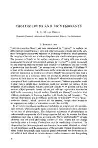 PHOSPHOLIPIDS AND BIOMEMBRANES L. L. M. VAN DEENEN