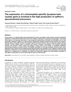 The expression of a chromoplast-specific lycopene beta cyclase