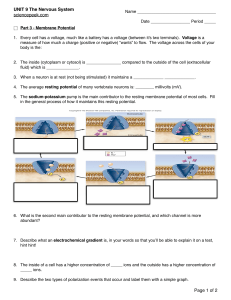 Outline Part 2 - sciencepeek.com